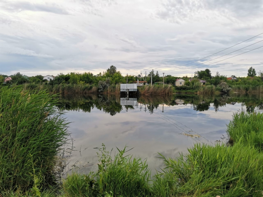В пруду поселка Жасминный спасатели нашли труп мужчины