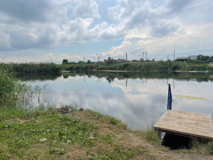 Саратовская дачница утонула при попытке переплыть пруд