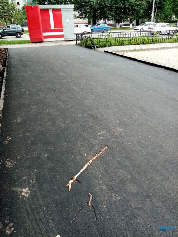 Балаковские дорожники во время ремонта дорог закатали ветки в асфальт