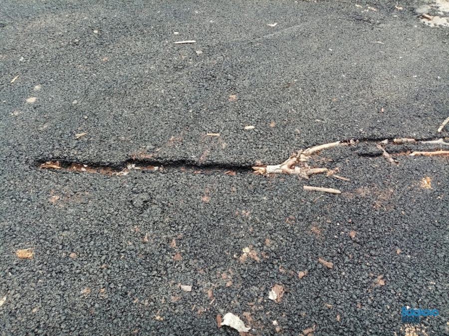 Балаковские дорожники во время ремонта дорог закатали ветки в асфальт