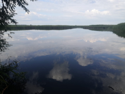 СК: Утонувший в Озерках юноша пришел искупаться с братьями