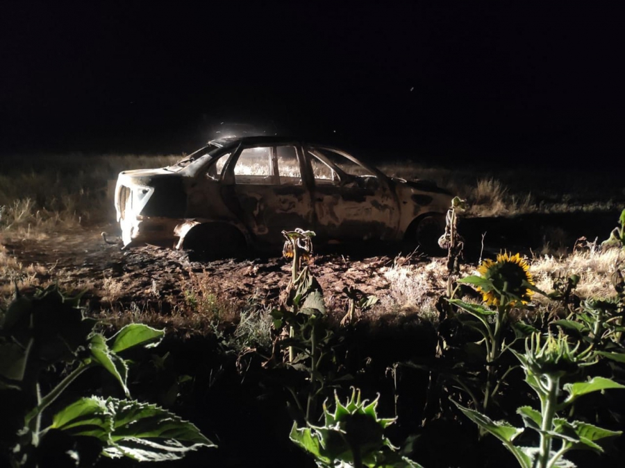 Житель Перелюбского района сгорел в «Гранте» возле поля подсолнухов