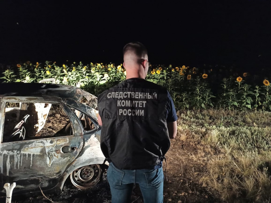 Житель Перелюбского района сгорел в «Гранте» возле поля подсолнухов
