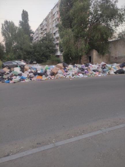 Жители Заводского пожаловались на крупную свалку вдоль дороги