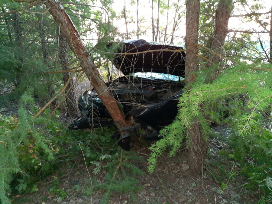 В Петровском районе «Тойота» с ребенком врезалась в дерево