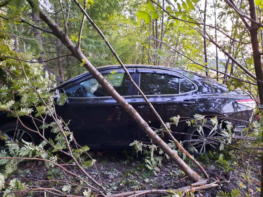В Петровском районе «Тойота» с ребенком врезалась в дерево