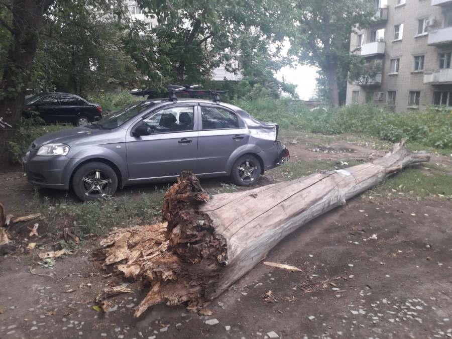 Недалеко от бывшего аэропорта на машину упало большое сухое дерево