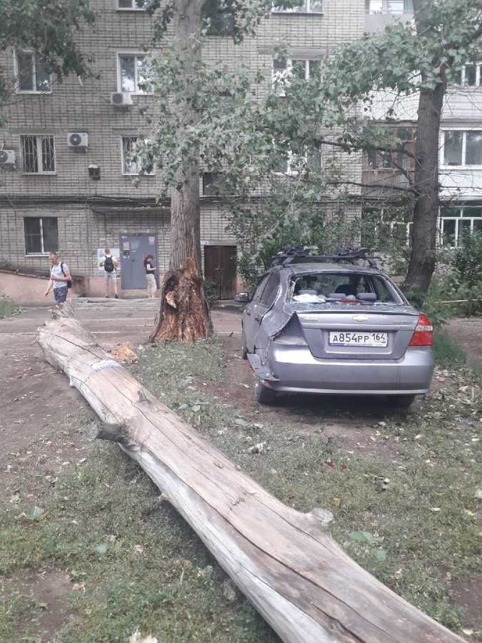 Недалеко от бывшего аэропорта на машину упало большое сухое дерево