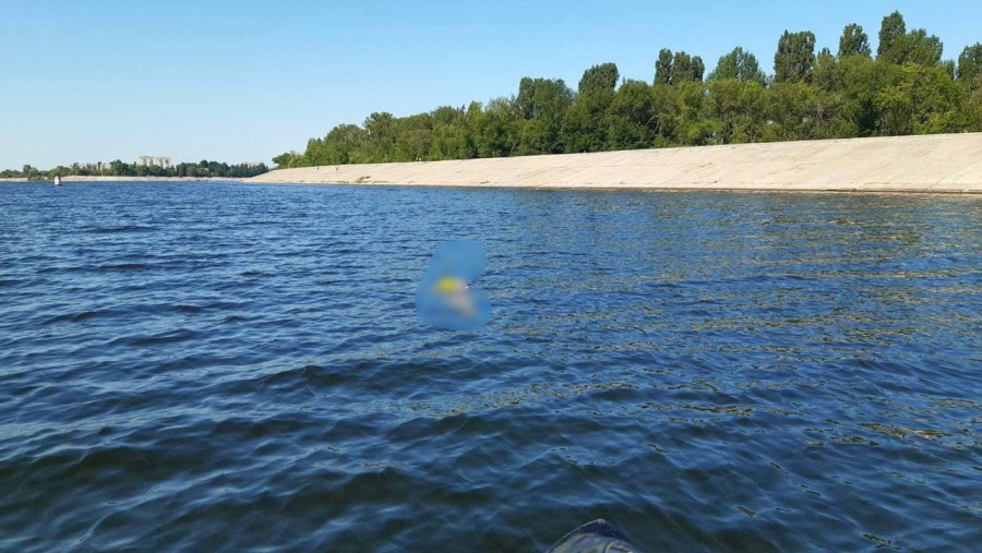 Труп женщины выловили из воды спустя 3 дня после падения с моста