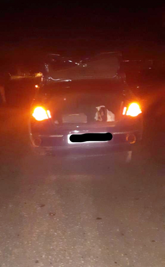 Под Аркадаком иномарка задним ходом сбила подростка