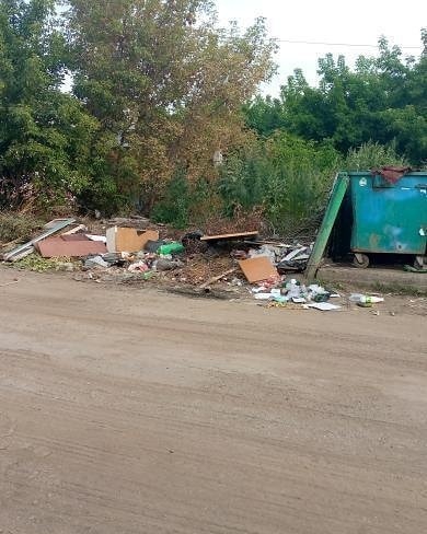 Аткарск зарастает свалками. Глава района выступил с обращением к прокуратуре и депутатам