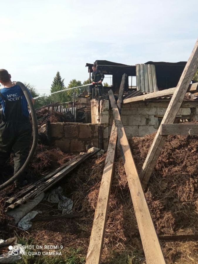 В Ленинском районе полыхали свинарник, гараж и две тонны сена