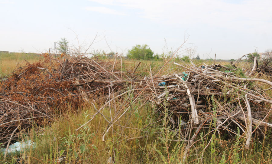 В Энгельсском районе за год 150 раз горел мусор