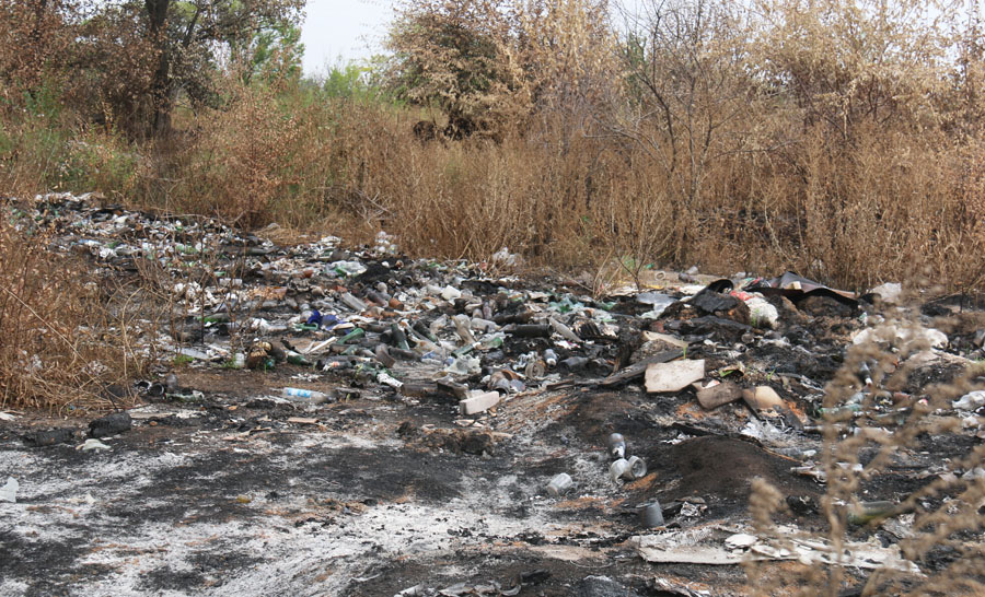 В Энгельсском районе за год 150 раз горел мусор