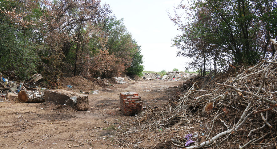 В Энгельсском районе за год 150 раз горел мусор