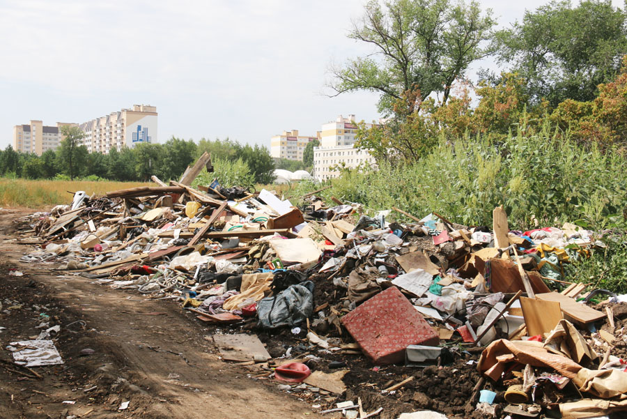 В Энгельсском районе за год 150 раз горел мусор