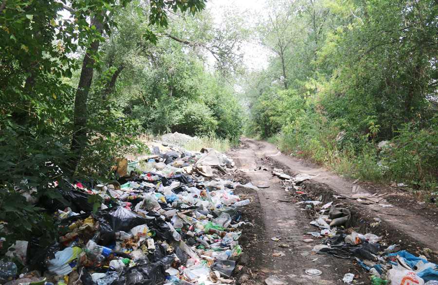В Энгельсском районе за год 150 раз горел мусор