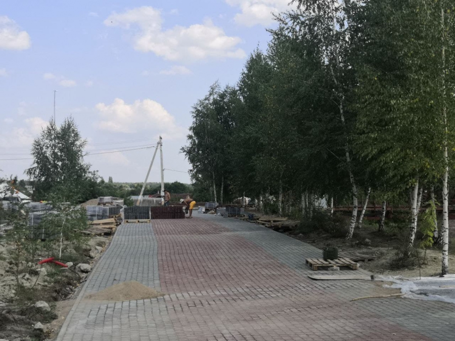 Глава Госдумы раскритиковал недоработки в благоустройстве территории у петровского моста