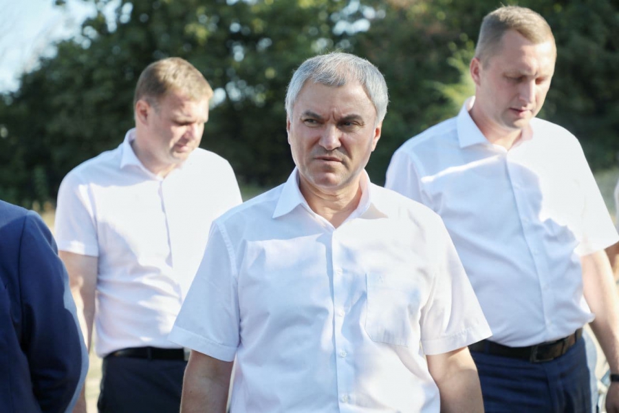 Володин встал на защиту пруда Семхоз от застройки