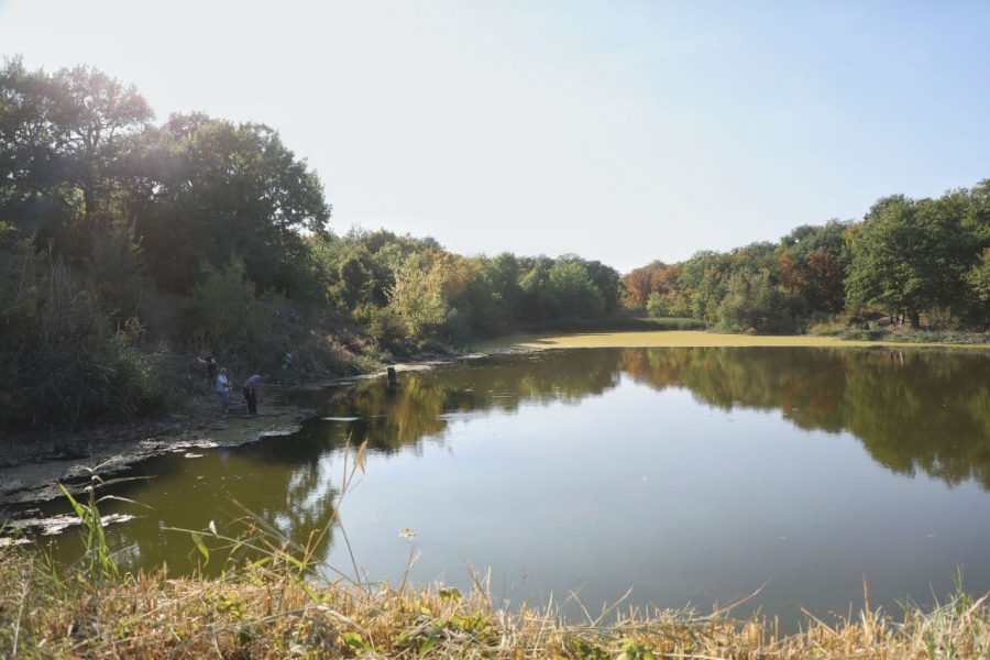 Володин встал на защиту пруда Семхоз от застройки