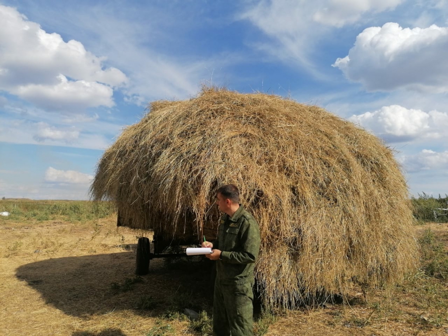 В Красноармейском районе женщина погибла при падении со стога сена