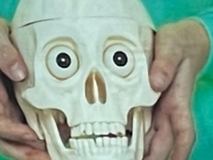 Министр Костин удивился черепу в качестве символа счастья на билборде стоматологии