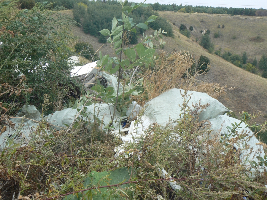 В Саратове неизвестные на машинах захламляли мусором Кумысную поляну