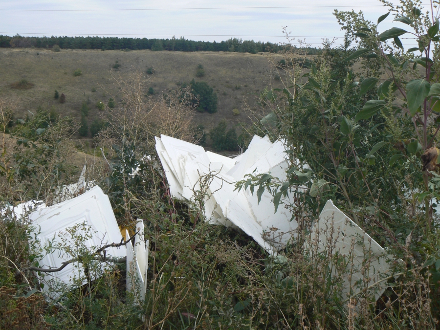 В Саратове неизвестные на машинах захламляли мусором Кумысную поляну