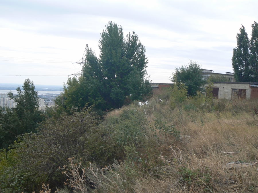 В Саратове неизвестные на машинах захламляли мусором Кумысную поляну