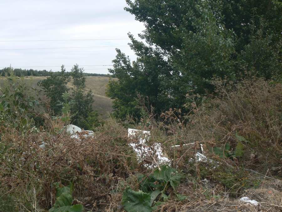 В Саратове неизвестные на машинах захламляли мусором Кумысную поляну