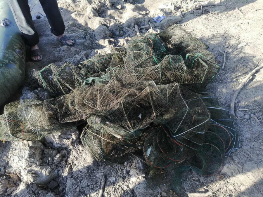 Под Пугачевом браконьеры выловили 1 234 рака