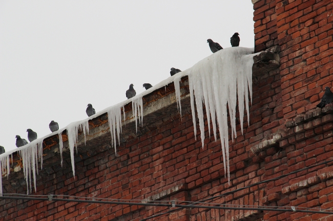 Из-за резкого потепления прохожим угрожают сосульки и ледяные глыбы