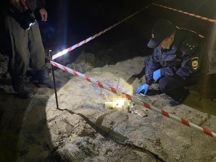 Под Марксом при бурении скважины нашли кости и череп человека