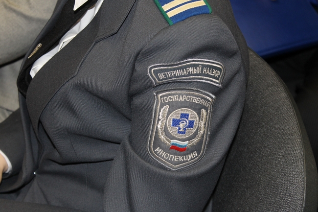 Ветеринарная служба развернет борьбу с инцестом среди животных