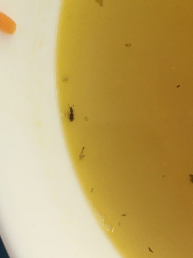 В Вольске школьникам в столовой подали суп с жуками