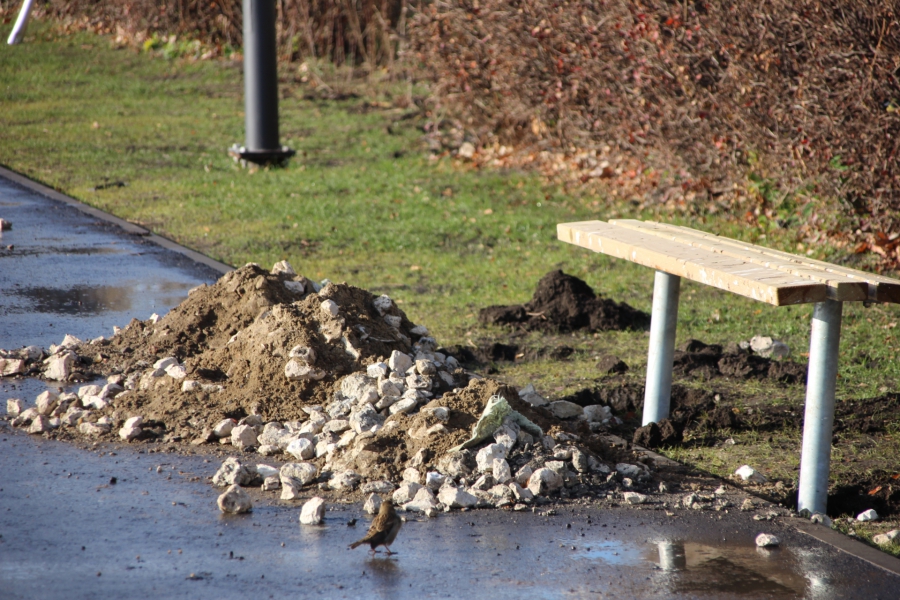 В Саратове вновь сорваны сроки реконструкции набережной и фонтана «Одуванчик»