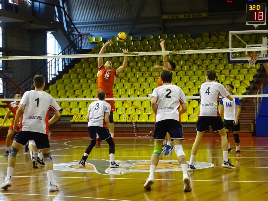Саратовские волейболисты сыграли и победили в «Звездном»