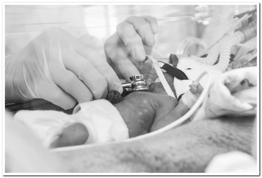 «Белые лепестки» перинатального центра 8-й горбольницы