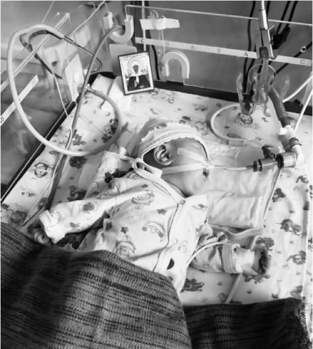 «Белые лепестки» перинатального центра 8-й горбольницы