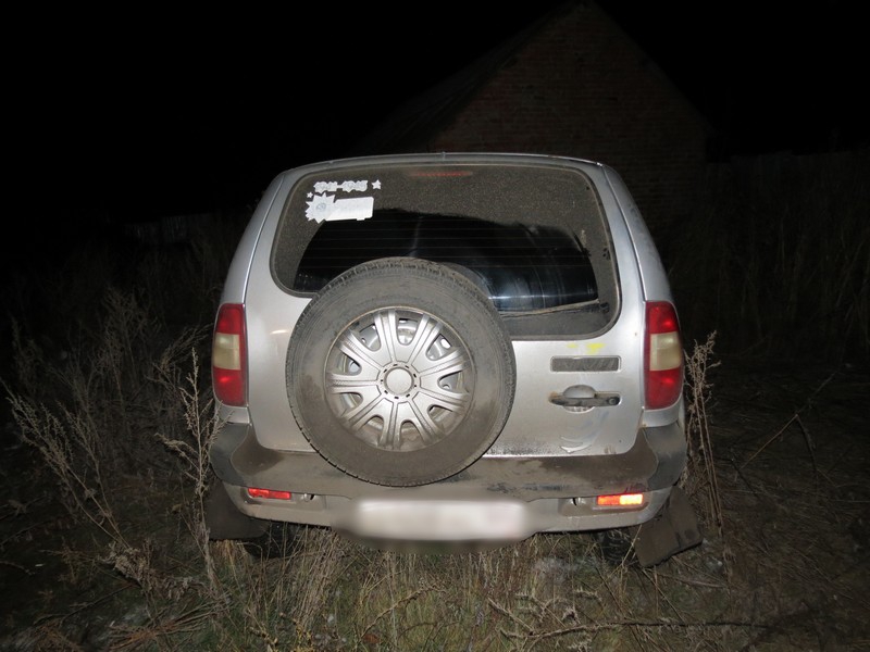 В Красноармейском районе задержали «Ниву» с убитыми косулями в багажнике