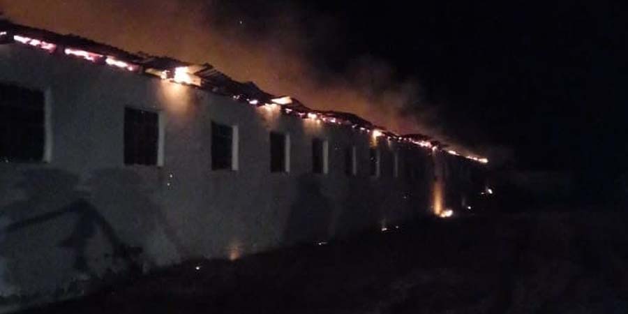 Вечером в Аткарске в огне погибли 60 свиней