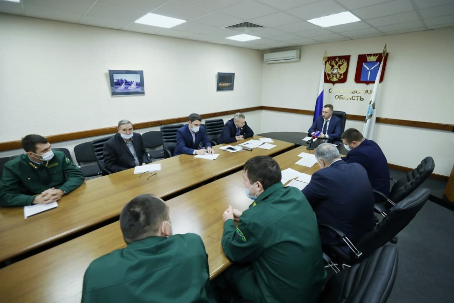 Бусаргин поручил увеличить лесистость Саратовской области до 20%