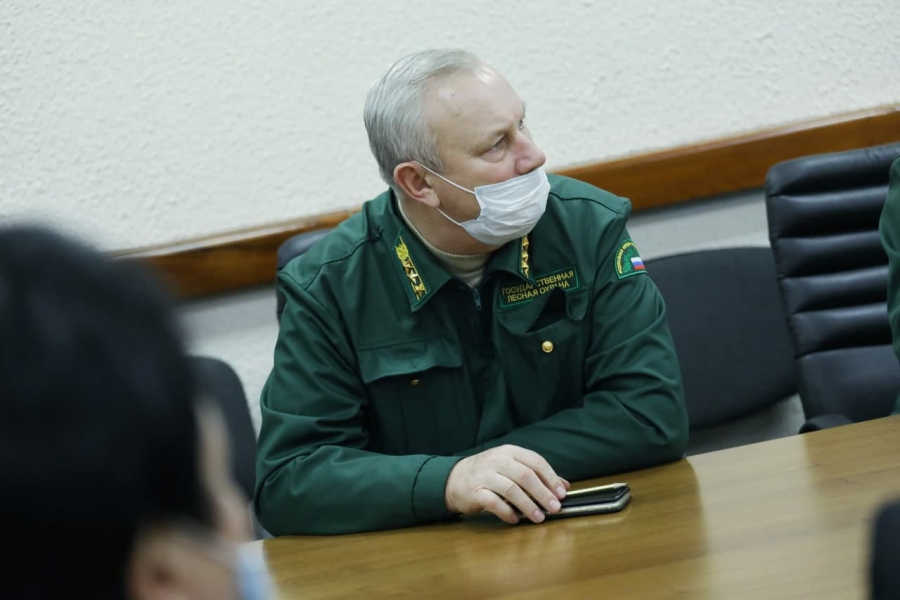 Бусаргин поручил увеличить лесистость Саратовской области до 20%