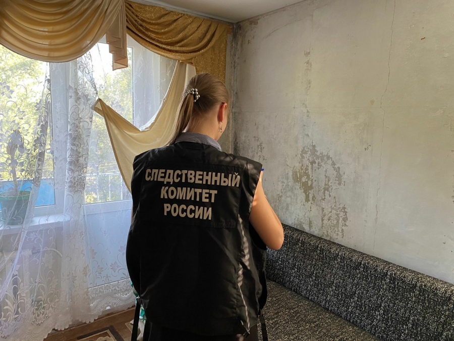 В Балакове наркомана ждет суд за избиение брата до смерти