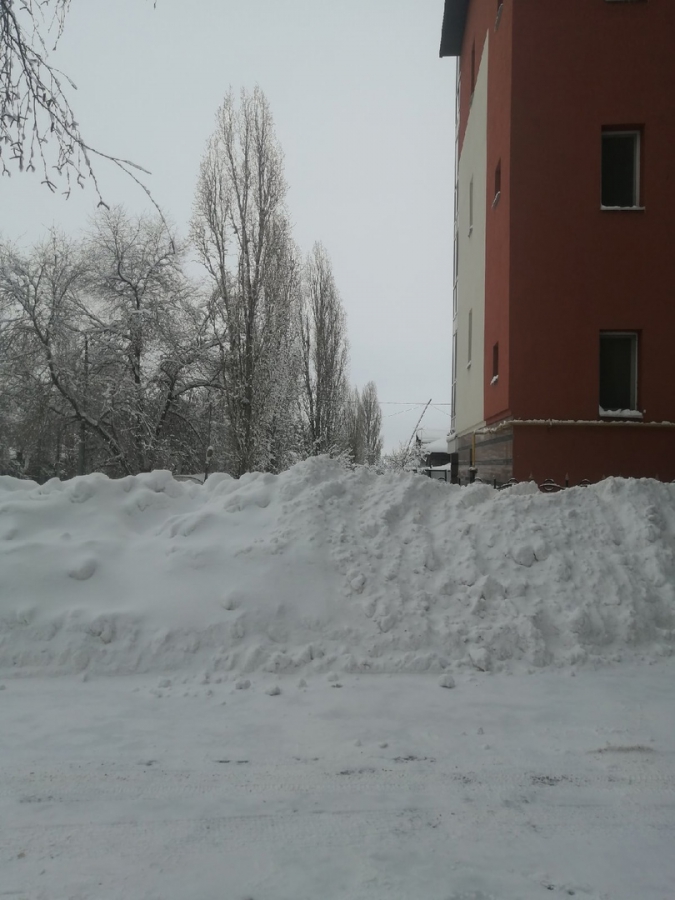 Саратовцы: Сотрудники бизнес-центра завалили снегом пешеходную зону и дорогу