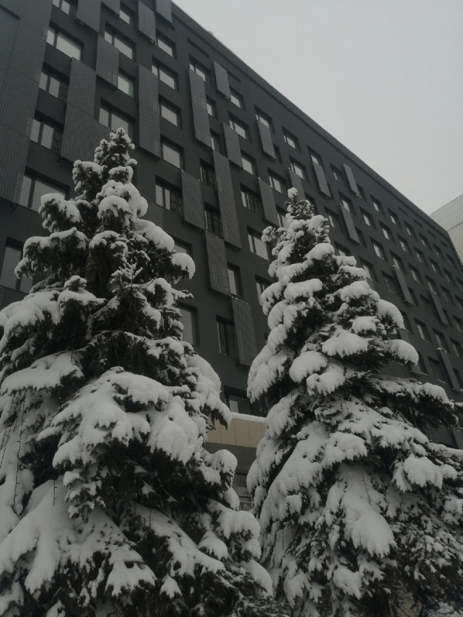 Саратовцы: Сотрудники бизнес-центра завалили снегом пешеходную зону и дорогу