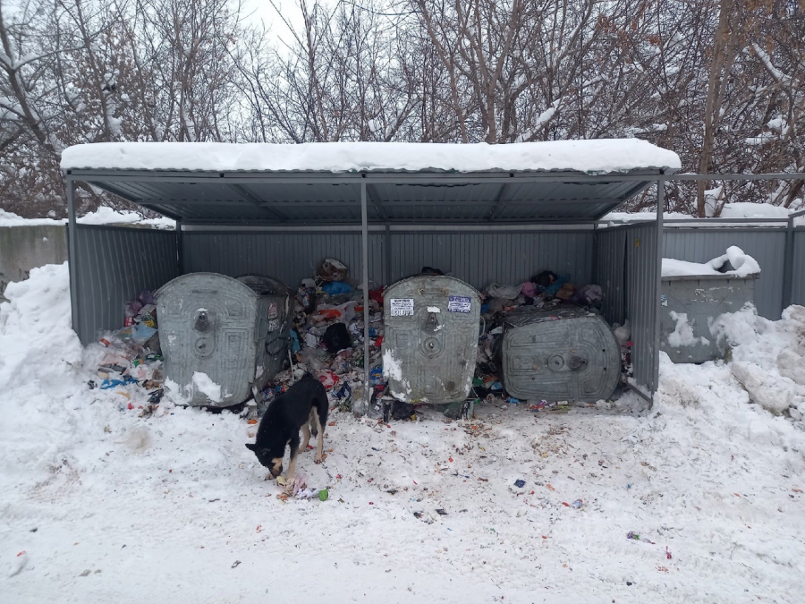 Саратовцы возмущены завалами мусора возле домов