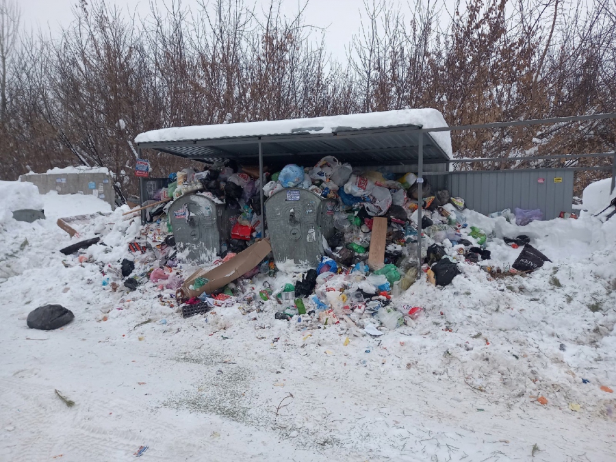 Саратовцы возмущены завалами мусора возле домов