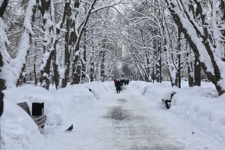 Володин – чиновникам об уборке снега в Саратове: «Либо надо решать эту задачу, либо уходить»