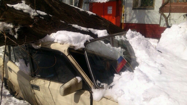 Упавшие из-за снега деревья раздавили припаркованные машины